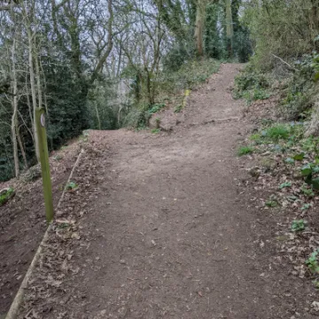 PXL_20220321_113405461-MP