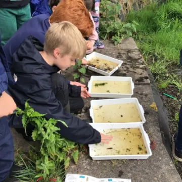 7B63FBAE-EBA4-4EF0-8131-70FCF60E71B1