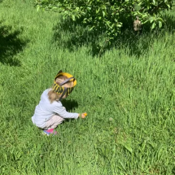 1B30D70C-2D4E-47D9-8690-9E713A7961CD