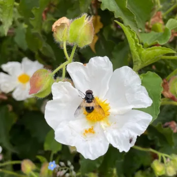 40F4E4C1-E956-4531-AC98-8E8A0AC052C6