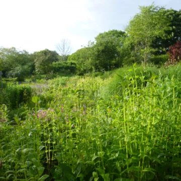 Flower Club JUne 2022 P1040147