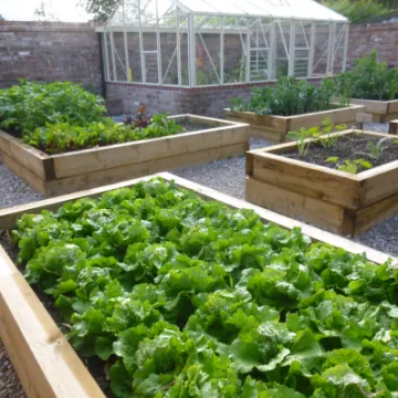 Flower Club JUne 2022 P1040153