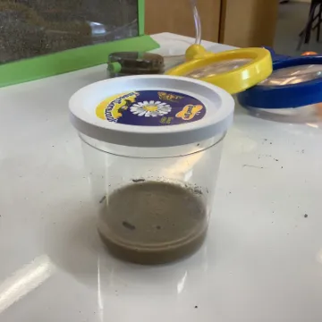 69D9A46D-C853-4C7E-877E-0A76CF1B3B68