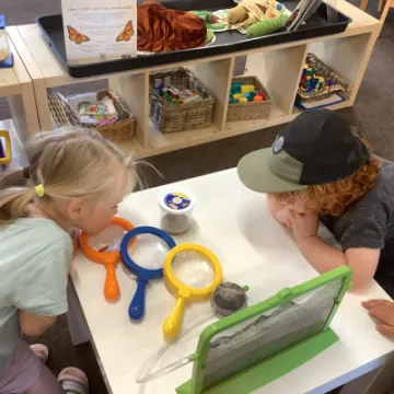 D05E43E9-8974-4877-8815-3B3B7206CCB9