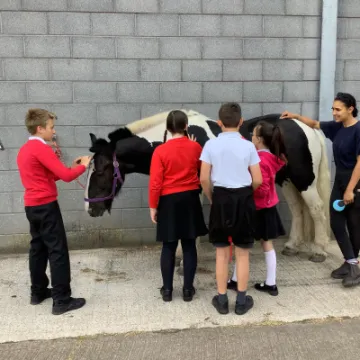 F905726E-8F80-4D25-B1AB-4F90F275AF58