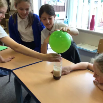 3176D60C-0AA1-46A5-95D4-C68FC142027A