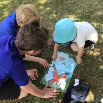 53D5871D-B456-4A96-A527-B6DD27714BAB