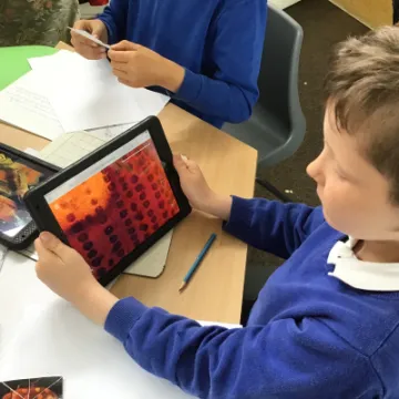 121F6F1E-9336-4664-A5EE-E38C02D2E309