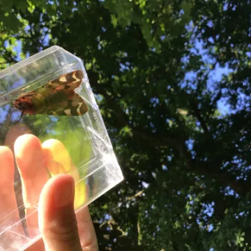 E711F3B5-5268-4ED6-BE5B-9635D9A43DF6