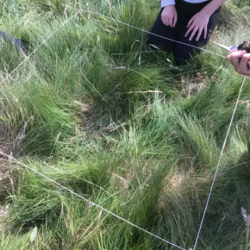 9E72E704-BD29-4971-8004-784205EE1221