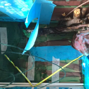 CA637FBD-3321-4D1A-BCC3-0D64165469FA