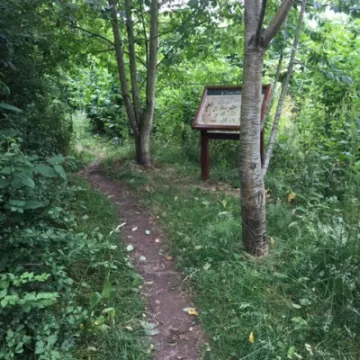 Path 10a