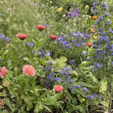 09D7640E-9791-4428-B130-B734909F1E70