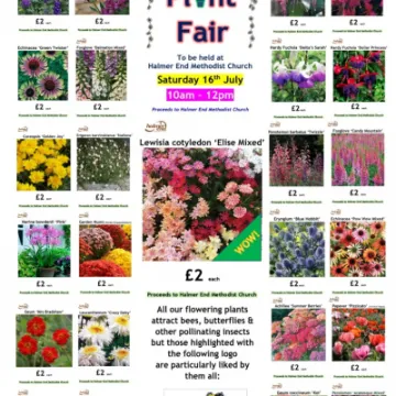 FB POS Collage 16th July