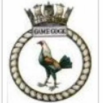 hms gamecock