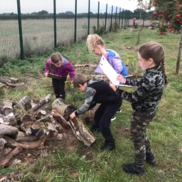 8AE9A52F-0B62-42C3-B706-DEAD05686DC0