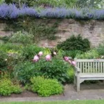 Ness Gardens jpg43