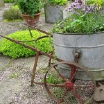 Ness Gardens jpg9