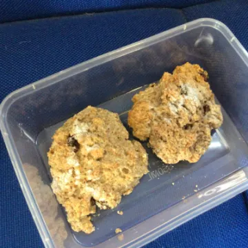 70EB02E1-F767-45A3-801A-6BBC134CE308