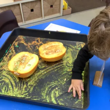 DD9DC7D5-73A8-426D-B686-0C040D37EF7C