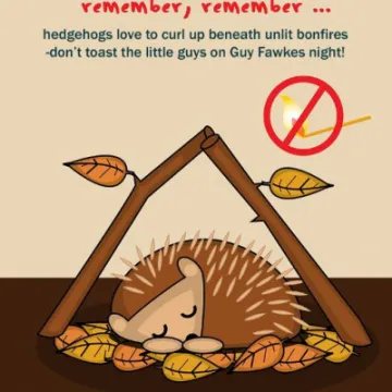 Dont Toast a Hedgehog this Guy fawkes night