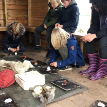 837BB734-DCEF-4EC0-A1F2-49E6C49257E6