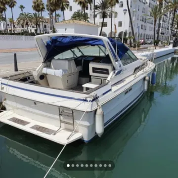 Searay6