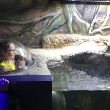 BD98F622-E15F-4667-BA61-44394147CA6B