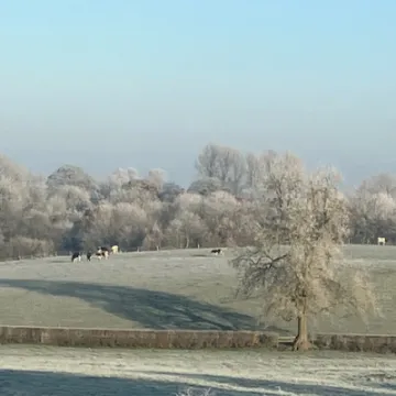 December Chilly Morning 2022