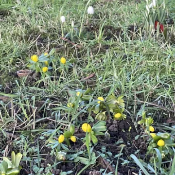 7BEAC3E4-077D-44D8-834B-149FA53B1AF6