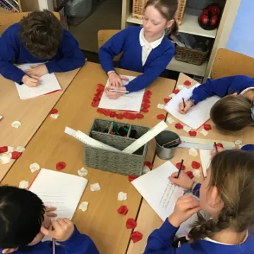 3EE9E2FA-19EF-4B0C-83AA-B155E9718429