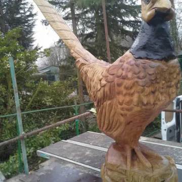 Pheasant-carving