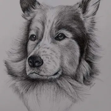 Screenshot_20230118_211017_facebook