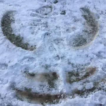 8D773097-43E5-4B7A-95C7-B4D64D3C93D8