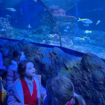 Screenshot 2023-01-30 at 15-17-08