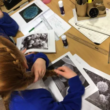 B63A708C-D5BC-42D1-8B93-E04D2690BD57