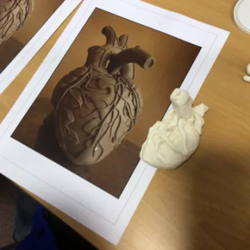 785A3A7D-CF75-4A20-A582-E29793698836