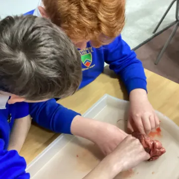 9B013104-9CAB-428D-9830-2B0D699B2DB0