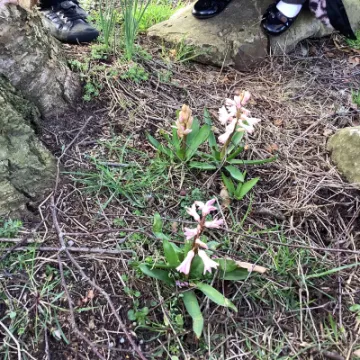 6E8674DE-E307-45E9-B4AE-7C2CBCDF1A17