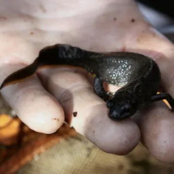 6021F84A-1E70-417E-AE9D-16969A4DFBC1