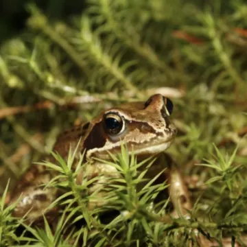 012B5FB2-DB60-47DA-9A90-03F3B462C7C6