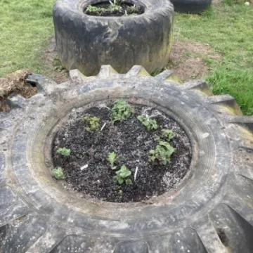 FA6C01AC-4F7E-4B33-91F6-46D270B66ABD