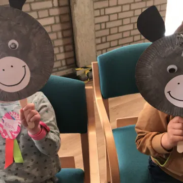 Donkey faces