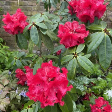 7C781061-73C6-49A6-BC24-063113C1B2CC