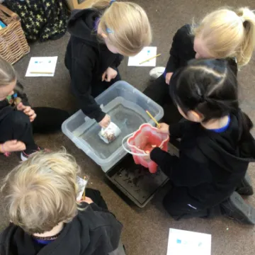 6A5C1FE5-FEE3-4CAA-8094-24310F655205