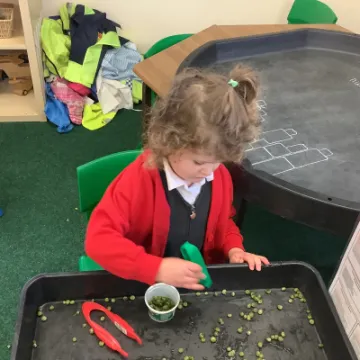 C4530F1C-C96D-4C2B-8429-7FA1F2DD920E