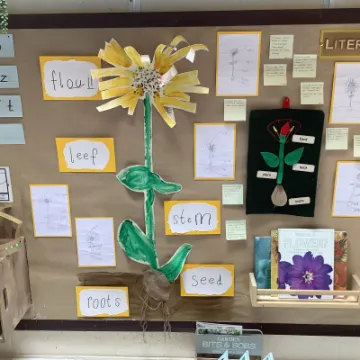 AD6556E8-FCEB-4E09-85DC-42F59C71E7A4