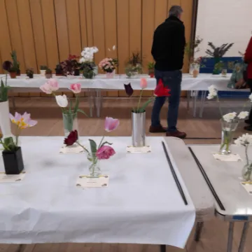 Image: 20230429 105409