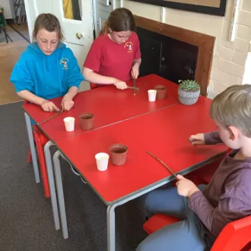 D684194F-F3D0-435F-8483-D58E2926DED5