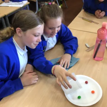 8BA6461B-2788-4F46-82EC-E79E7251830D